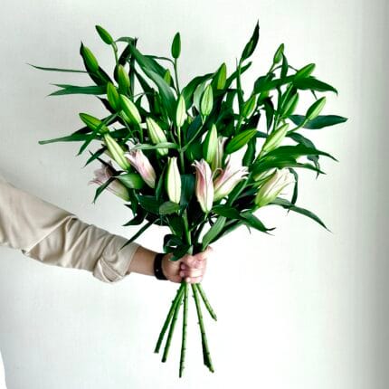 10 stems of pink lily