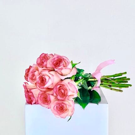 10 double colour pink roses only