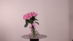 20 pink roses for women’s day